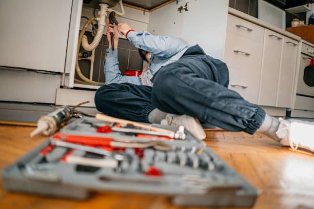 Best Residential Plumbing Services  in Stallion Springs, CA